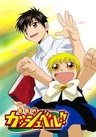 Konjiki no Gash Bell!!